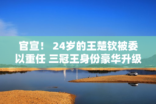 官宣！ 24岁的王楚钦被委以重任 三冠王身份豪华升级 国家乒乓球队只有一名球员