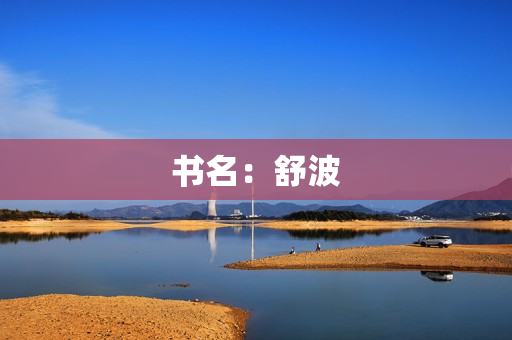 书名：舒波