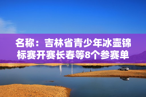 名称：吉林省青少年冰壶锦标赛开赛长春等8个参赛单位24支代表队参赛