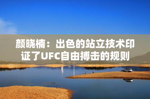 颜晓楠：出色的站立技术印证了UFC自由搏击的规则