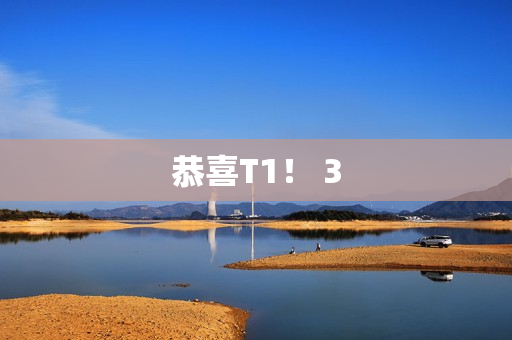 恭喜T1！ 3