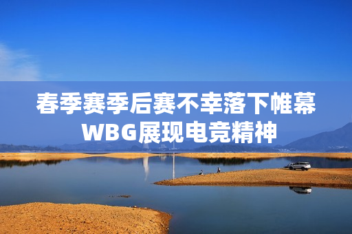 春季赛季后赛不幸落下帷幕 WBG展现电竞精神