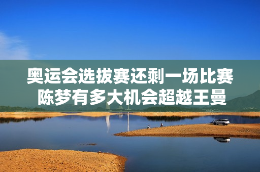 奥运会选拔赛还剩一场比赛 陈梦有多大机会超越王曼昱晋级单打？