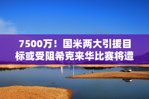 7500万！国米两大引援目标或受阻希克来华比赛将遭嘘声