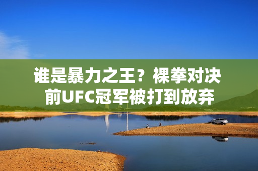 谁是暴力之王？裸拳对决 前UFC冠军被打到放弃