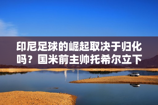 印尼足球的崛起取决于归化吗？国米前主帅托希尔立下汗马功劳 中国足球却成了笑话