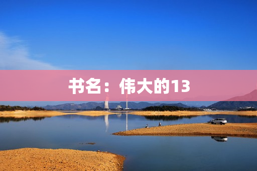 书名：伟大的13