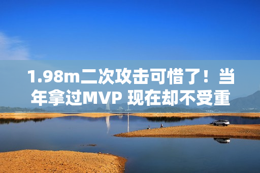 1.98m二次攻击可惜了！当年拿过MVP 现在却不受重用 网友：中勇成伤了