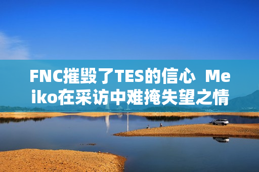 FNC摧毁了TES的信心  Meiko在采访中难掩失望之情 对接下来的比赛也缺乏信心