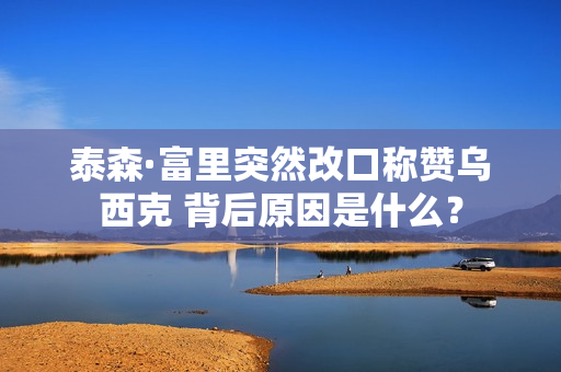 泰森·富里突然改口称赞乌西克 背后原因是什么？