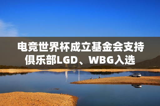 电竞世界杯成立基金会支持俱乐部LGD、WBG入选