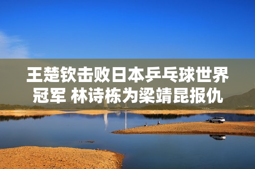 王楚钦击败日本乒乓球世界冠军 林诗栋为梁靖昆报仇 伊朗名将怒砸桌子