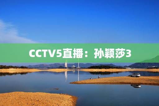 CCTV5直播：孙颖莎3