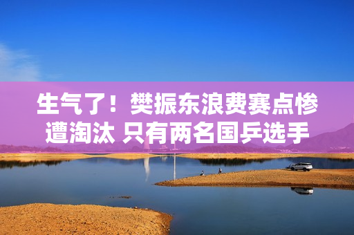 生气了！樊振东浪费赛点惨遭淘汰 只有两名国乒选手晋级男单八强