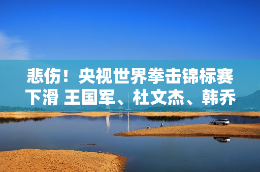 悲伤！央视世界拳击锦标赛下滑 王国军、杜文杰、韩乔生全部退赛