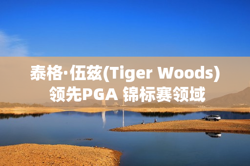 泰格·伍兹(Tiger Woods) 领先PGA 锦标赛领域