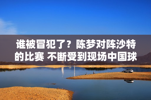 谁被冒犯了？陈梦对阵沙特的比赛 不断受到现场中国球迷的瞄准 刘国梁确实应该好好照顾一下