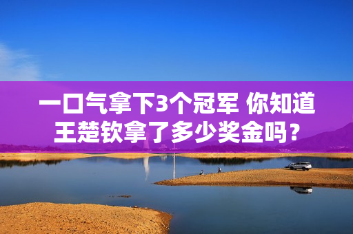 一口气拿下3个冠军 你知道王楚钦拿了多少奖金吗？